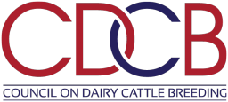 Recumbency in Holstein Calves
