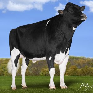 Sandy-Valley EQ