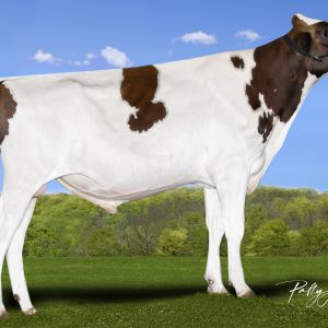 Valiant Mombassa PP Red