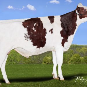Eskdale Mountie-Red