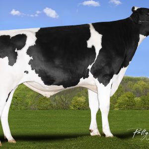 Aurora Fr1789