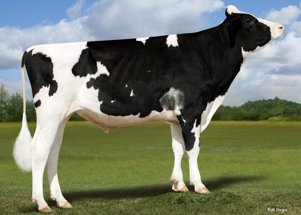 Stgen Us1492