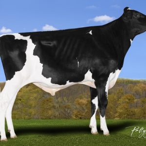 Siemers Lazer Hambitious PP RC