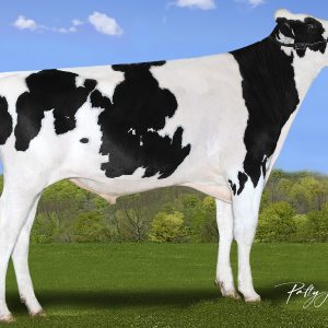 Aurora Edward-TW